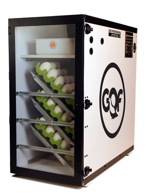 GQF Model 1500 Digital Professional Egg Incubator w/ 3258 Digital Ther