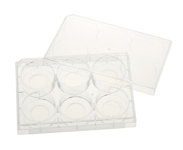 CELLTREAT Plates - Multiple Well Plates, Glass Bottom (Tissue Culture Treated) - Government Lab Enterprises