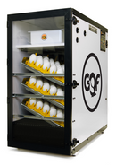 GQF Model 1502 Digital Sportsman Egg Incubator and Hatcher with 3258 digital thermostat 110V version (Ships in 4-5 weeks ARO)