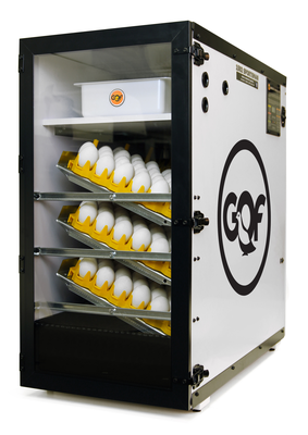 GQF Model 1502 Digital Sportsman Egg Incubator and Hatcher with 3258 d