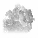 Hoshizaki F-330BAK 39" Air Cooled Undercounter Flake Ice Machine - 331 lb./day - Government Lab Enterprises