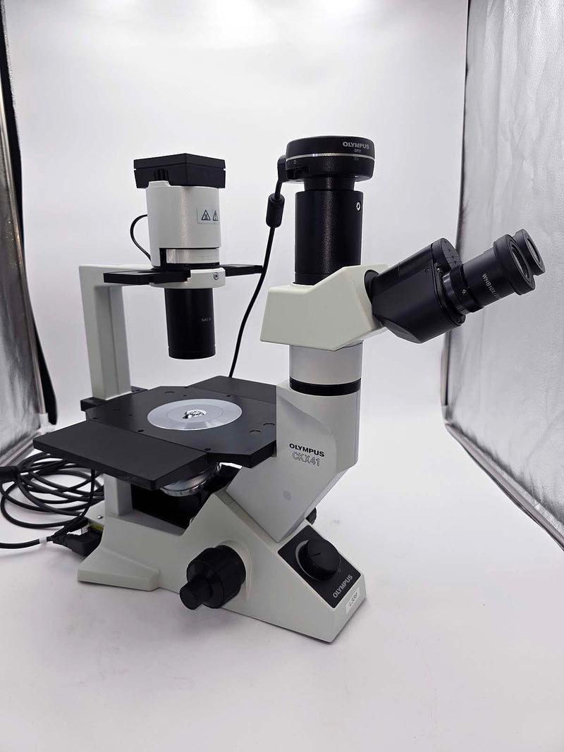 Olympus CKX41SF Inverted Phase Contrast Microscope