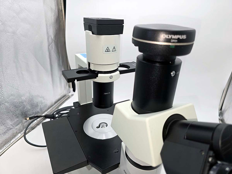 Olympus CKX41SF Inverted Phase Contrast Microscope