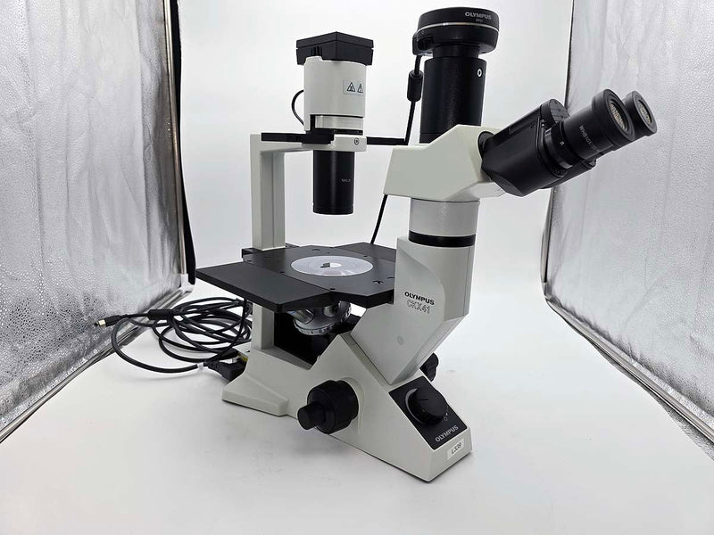 Olympus CKX41SF Inverted Phase Contrast Microscope