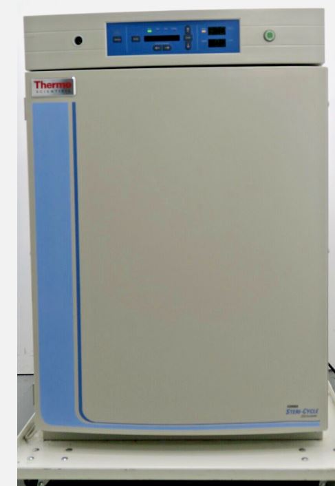 Thermo Model 370 Steri-Cycle CO2 incubator (Pre-owned) (2014)