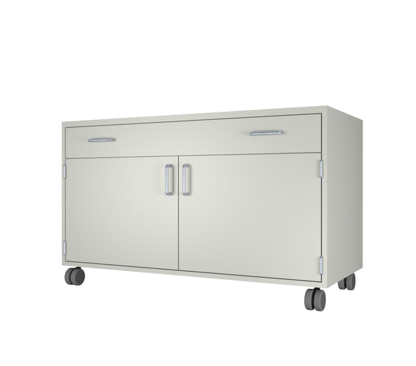 CLP 48" Mobile Lab Cabinet with 1 drawer/2 door cabinet (48"L x 22" D x 30"H with casters)