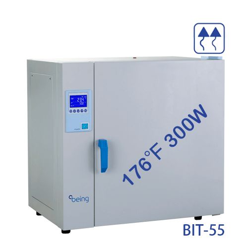 BEING BIT-55 Natural Convection Heating Incubator, 1.9 Cuft, 54 Liters, 110V/60Hz - Government Lab Enterprises