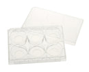 CELLTREAT Plates - Multiple Well Plates, Glass Bottom (Tissue Culture Treated) - Government Lab Enterprises
