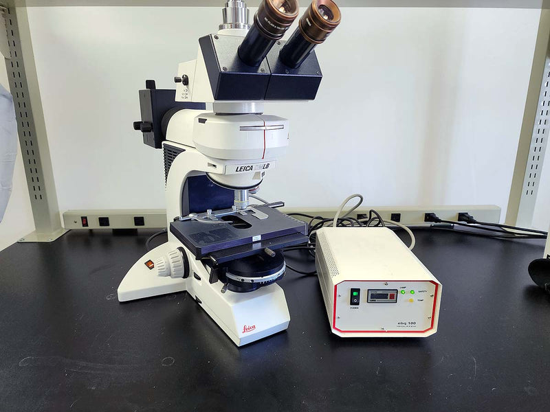 Fluorescence Microscope Leica Leica Dm6000b Leica DM6000 Quality